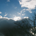 3381-1.jpg