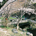 3381-2.jpg