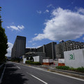 3383-2.jpg