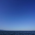 3383-3.jpg