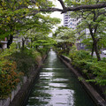 3384-2.jpg