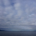 3385-2.jpg