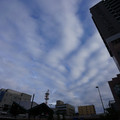 3385-3.jpg