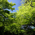 3386-1.jpg