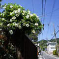 3386-2.jpg