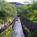 3390-3.jpg