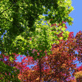 3391-1.jpg
