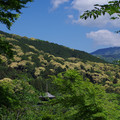 3391-3.jpg