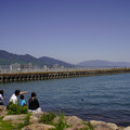 3392-1.jpg