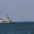 3392-2.jpg