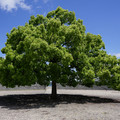 3397-2.jpg