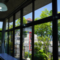 3399-3.jpg