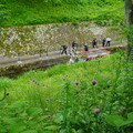3400-1.jpg