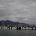 3403-1.jpg
