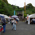 3407-3.jpg