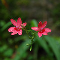 3415-3.jpg