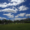 3417-1.jpg