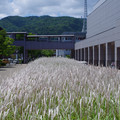 3423-3.jpg