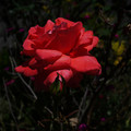 3424-2.jpg