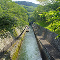 3431-3.jpg