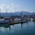 3432-1.jpg