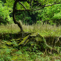 3437-2.jpg