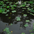 3442-3.jpg