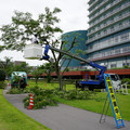 3445-2.jpg
