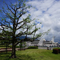 3448-3.jpg
