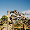 3450-3.jpg