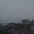 3451-1.jpg