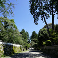 3454-1.jpg