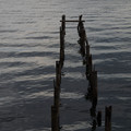 3458-2.jpg