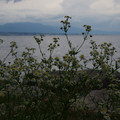 3458-3.jpg