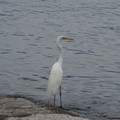 3459-2.jpg