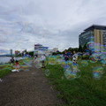 3461-1.jpg