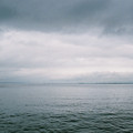 3462-1.jpg