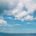 3462-3.jpg