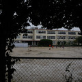 3463-1.jpg