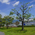 3467-2.jpg