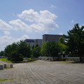 3468-2.jpg