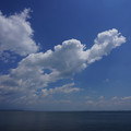 3471-1.jpg