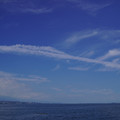 3482-3.jpg
