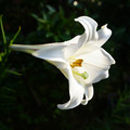 3485-3.jpg