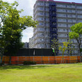 3487-3.jpg