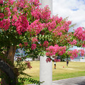 3490-2.jpg