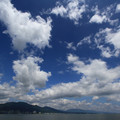 3491-1.jpg