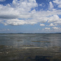 3491-2.jpg