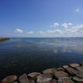 3492-1.jpg