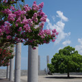 3495-2.jpg